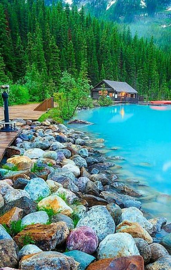 удивительная природа