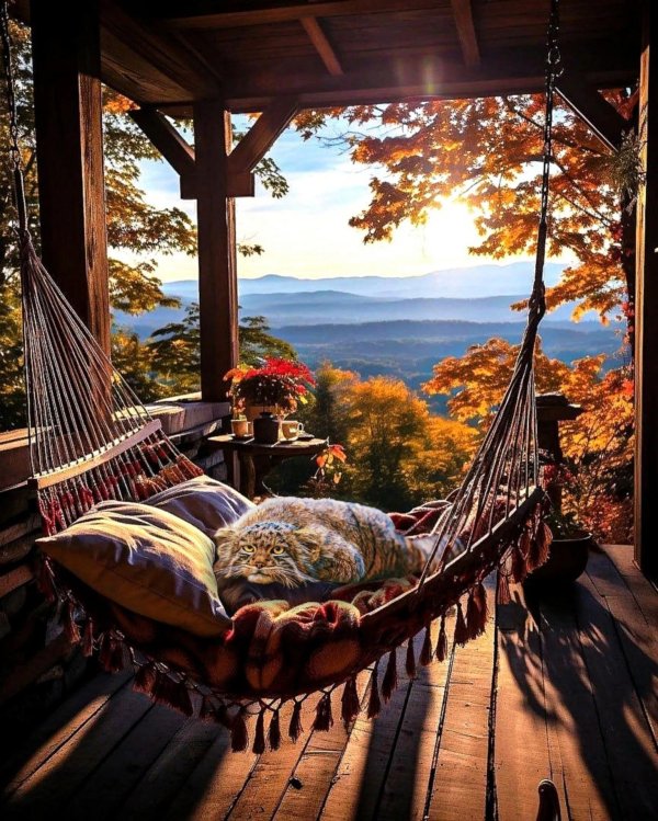 уютный уголок