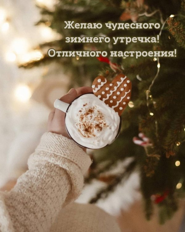 зимнего утра