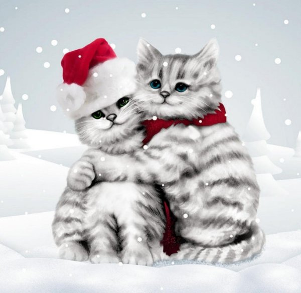 новогодние котята