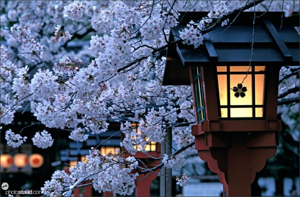 японские фонари