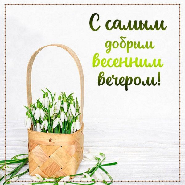 корзина с подснежниками