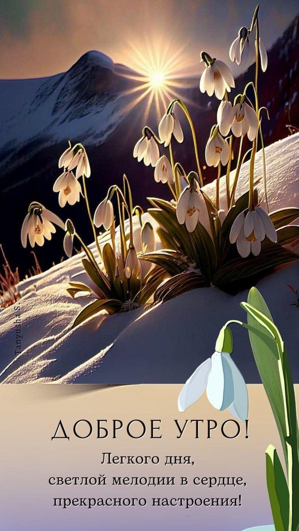 доброе утро подснежники