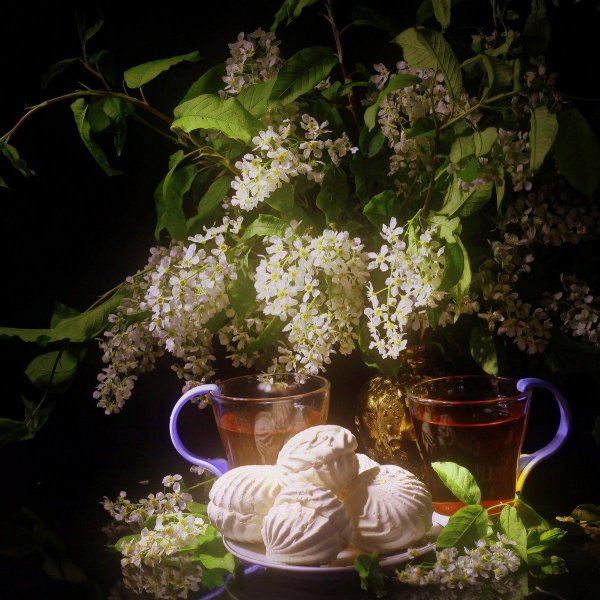 фотонатюрморты маргариты епишиной