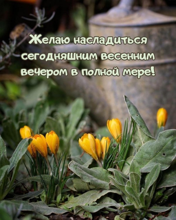 поздравления и пожелания