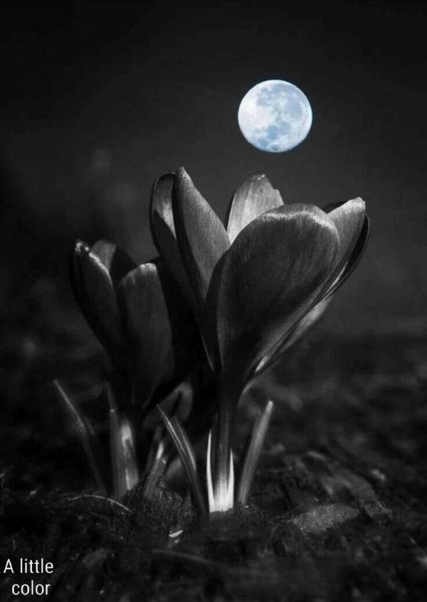 спокойная ночи