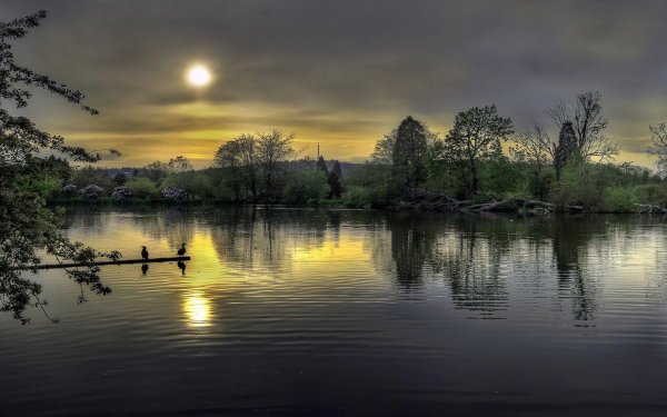 вечерние пейзажи
