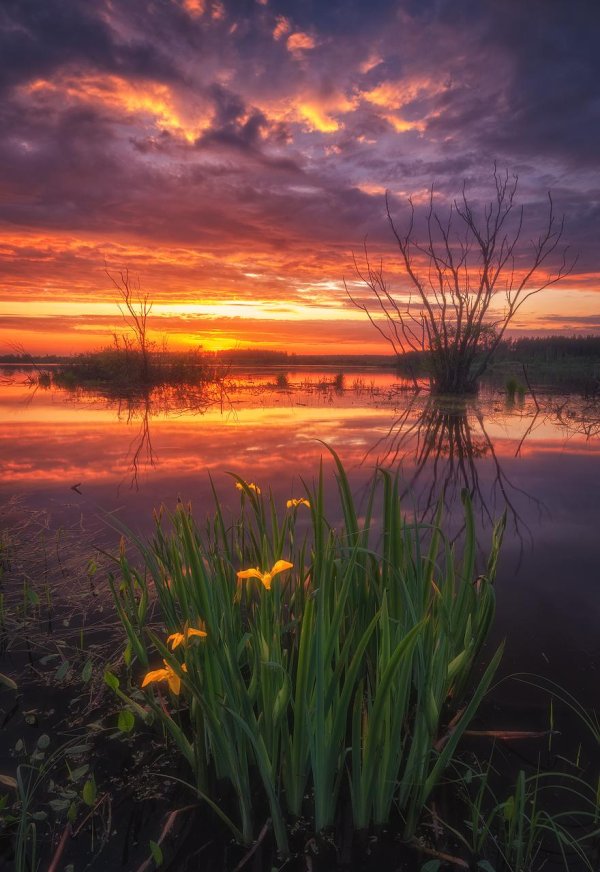 река чусовая закат