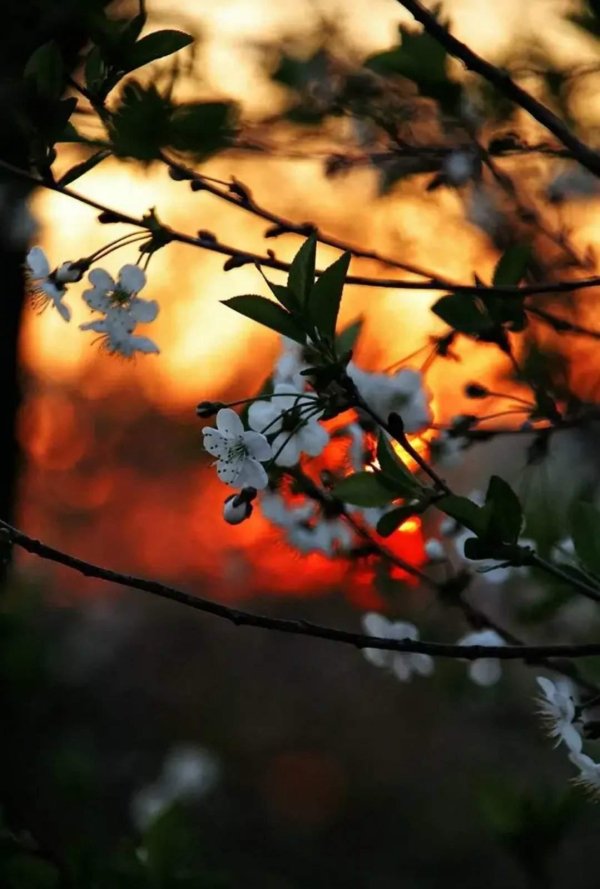 майский вечер