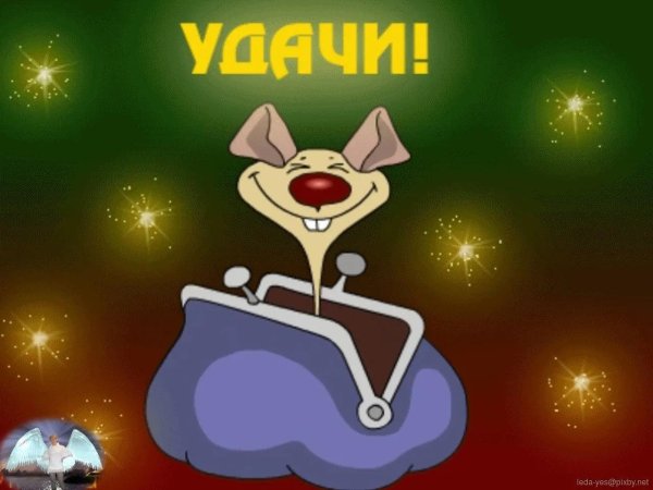 желаем удачи