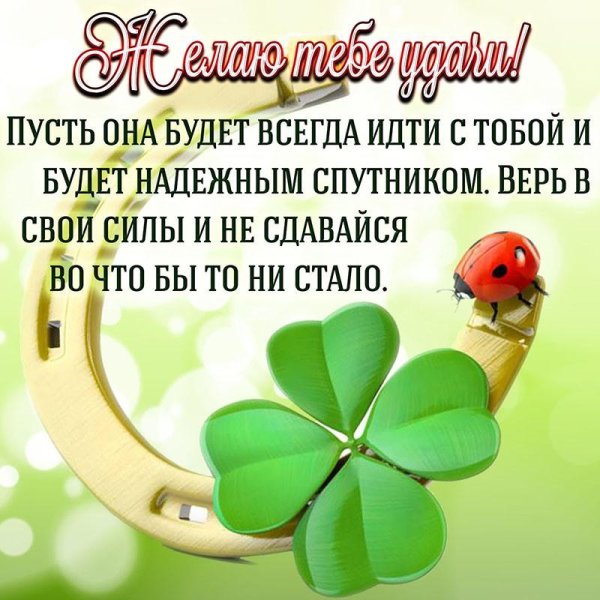 удача в жизни