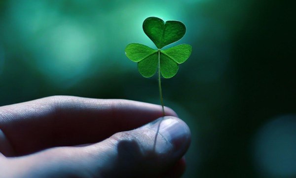 четырехлистный клевер