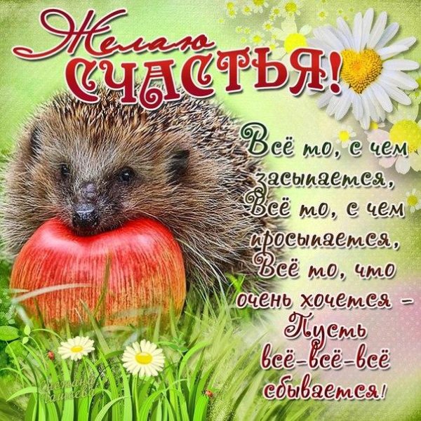 ежик несет яблоко