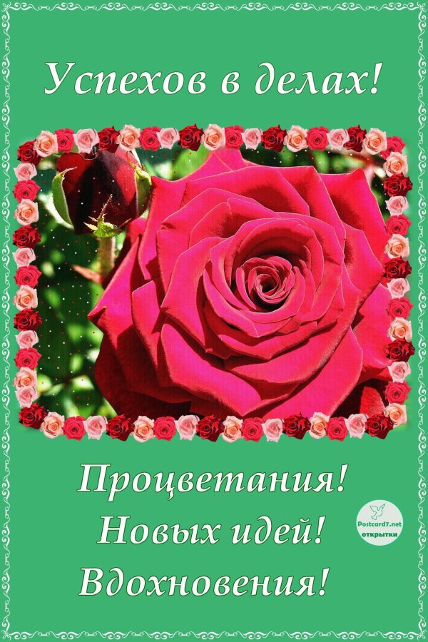 поздравительная открытка