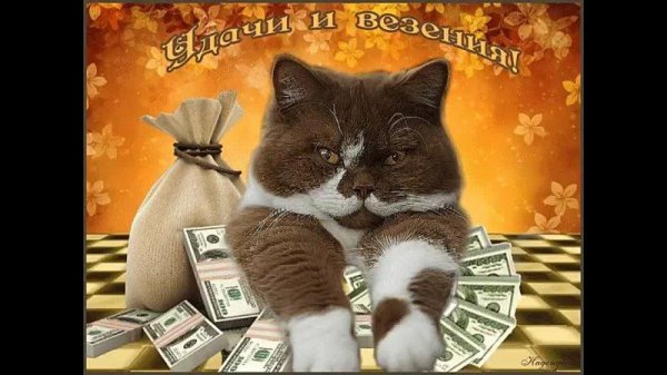 пожелание удачи