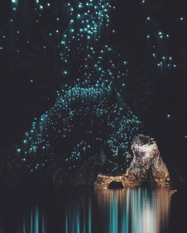 пещеры светлячков вайтомо