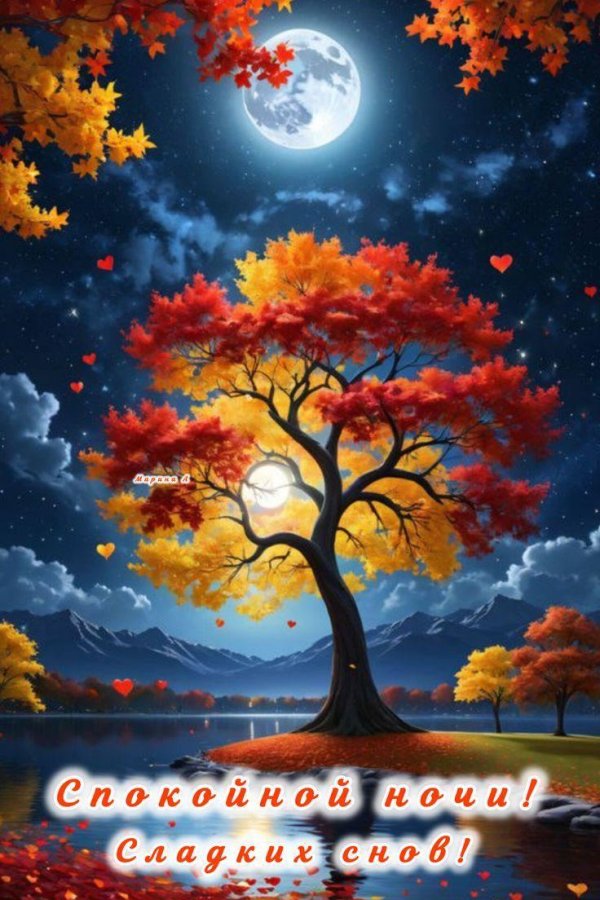 осень ночь
