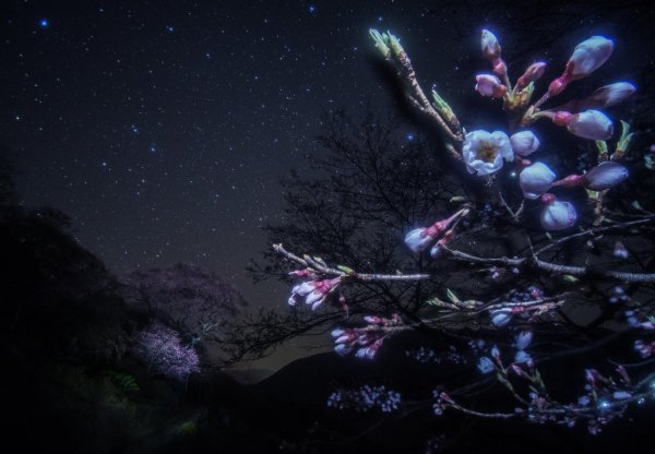 фудзияма млечный путь