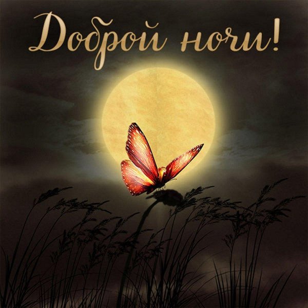 Ночь необычные