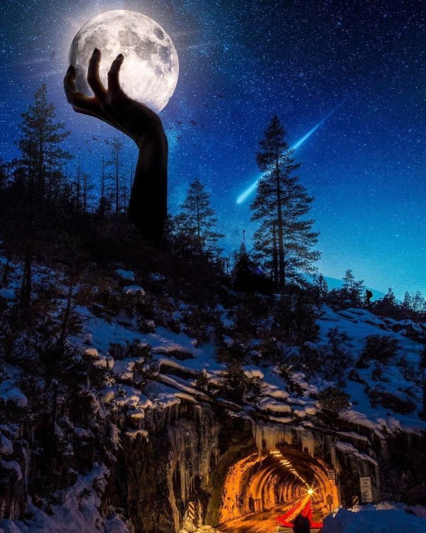 лес с луной