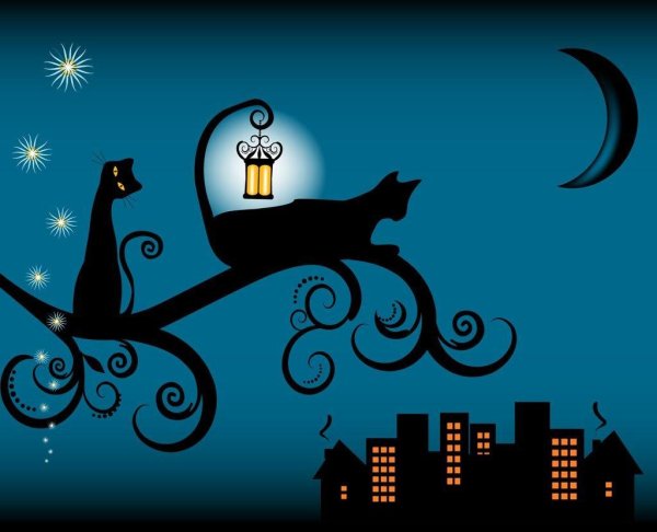 кот на крыше