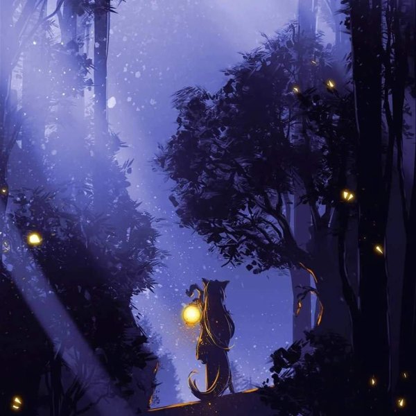 сказочный лес ночью