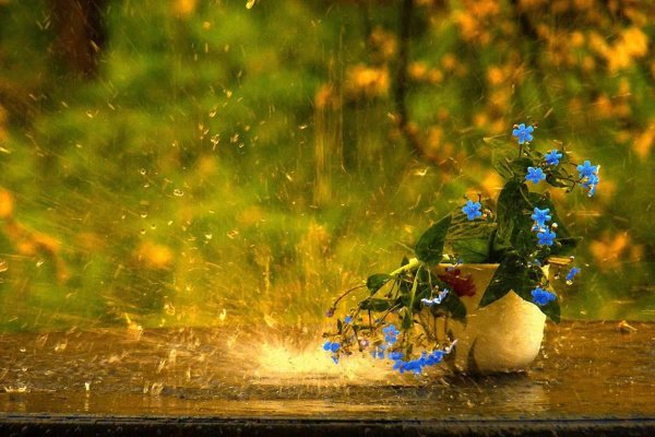 летний дождик