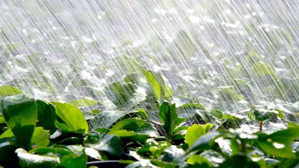 системы полива