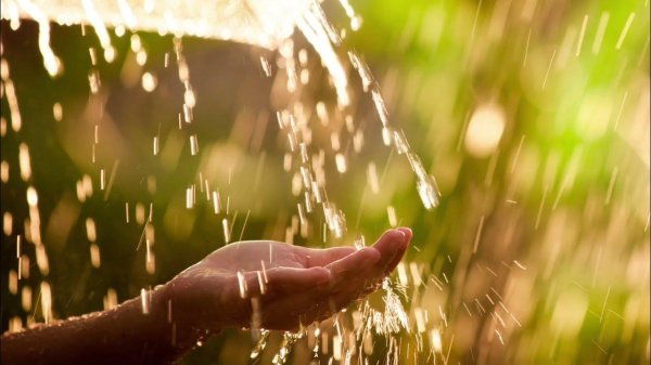 летний дождик