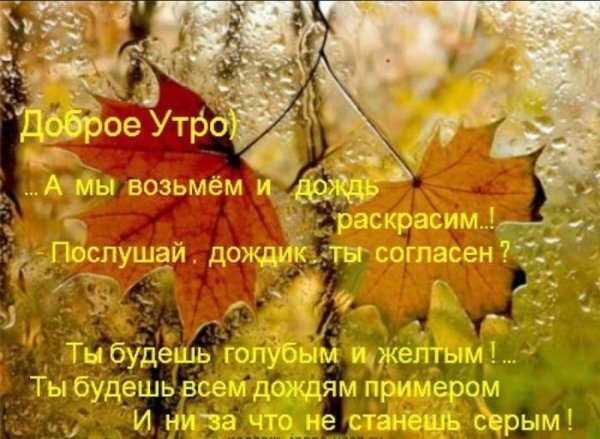 осень дождливая