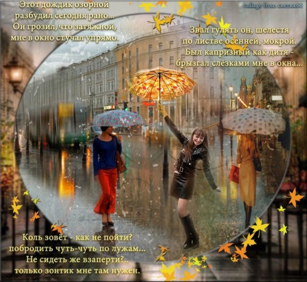 с добрым утром осенним дождливым