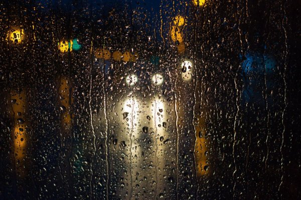 дождливый вечер