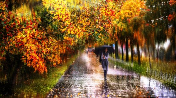 дождливая осень