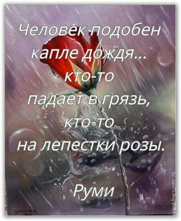 красивые цитаты