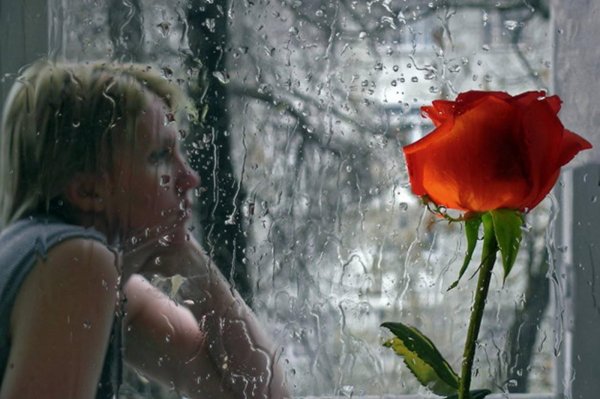 плачущий цветок