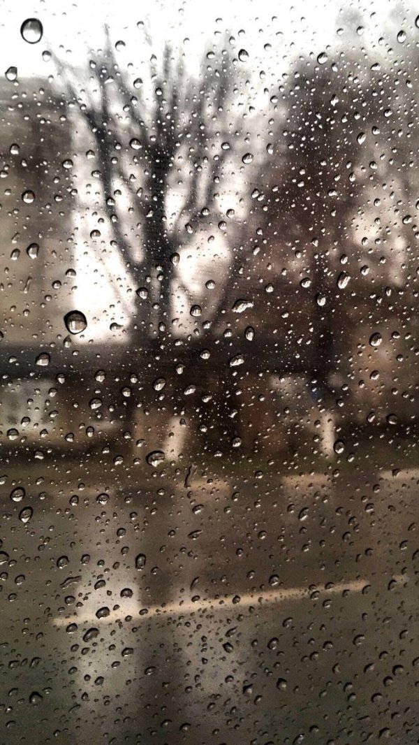 дождливые дни