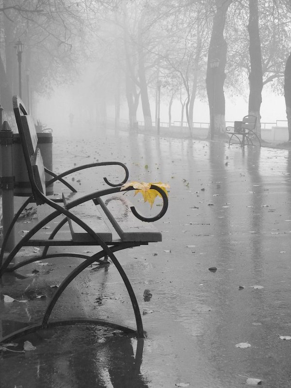 грустная осень