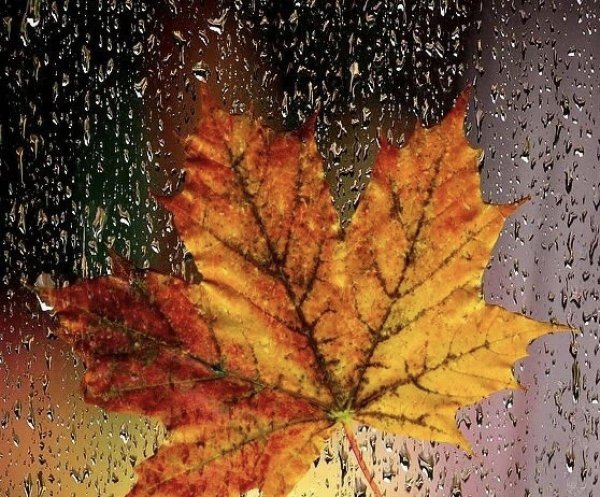 дождливая осень