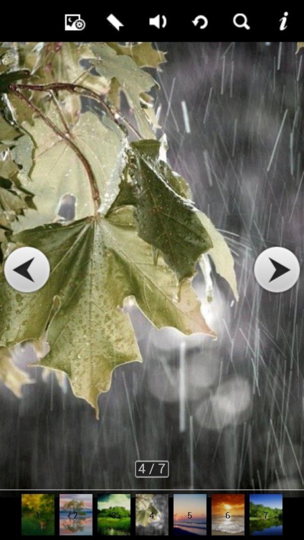 осень дождливая