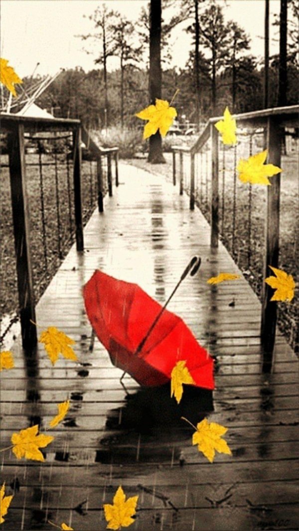 красный зонтик