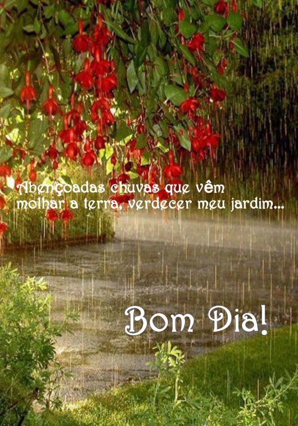 дождливое утро доброе