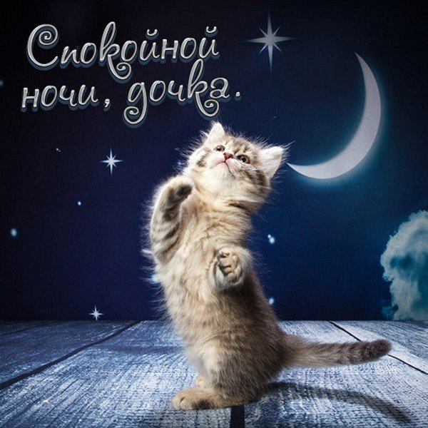 доброй нескучной ночи