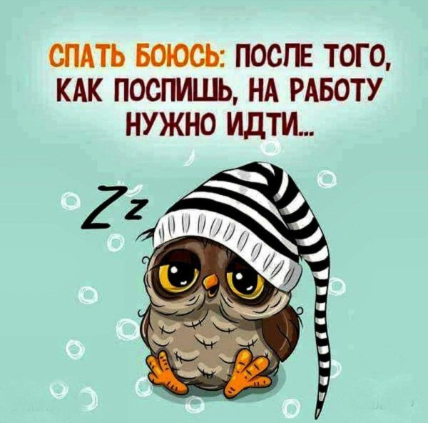 совы мультяшные