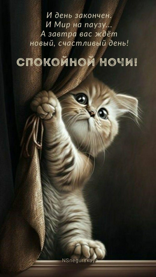 ночи доброй