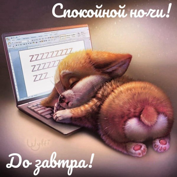 спокойной ночи прикольные смешные