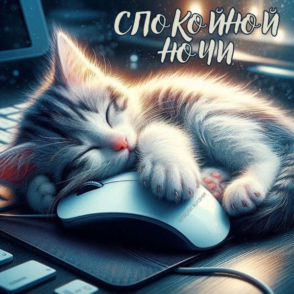 сладких снов красивые