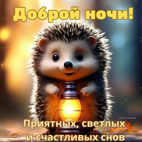 добрая ночь