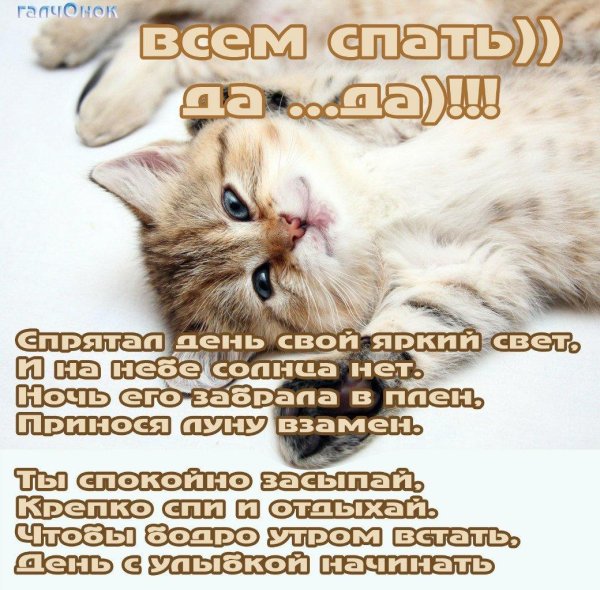 поздравление с днем кошек