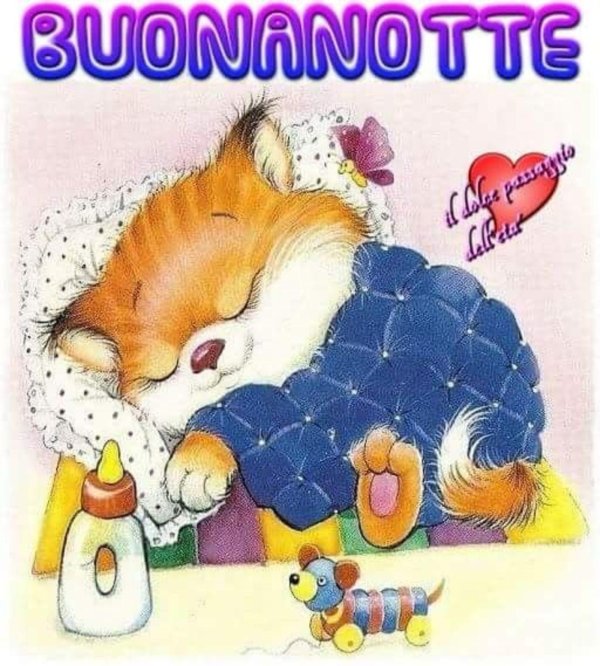 buonanotte buongiorno