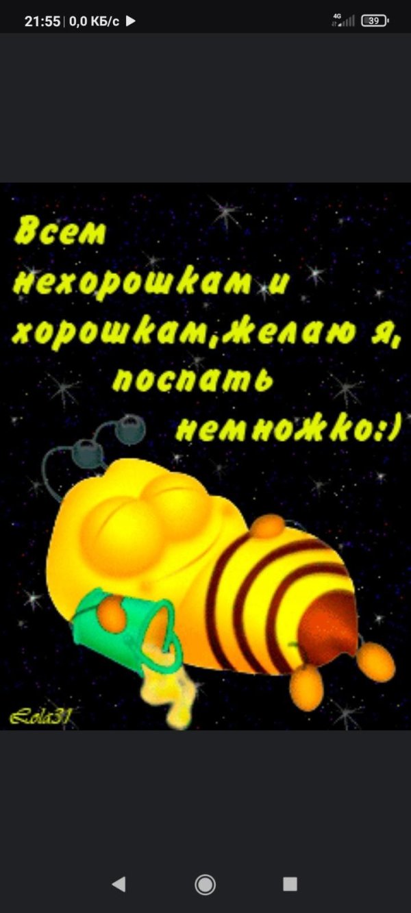 спокойной ночи пчела